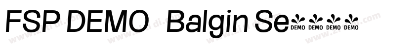 FSP DEMO   Balgin Se字体转换